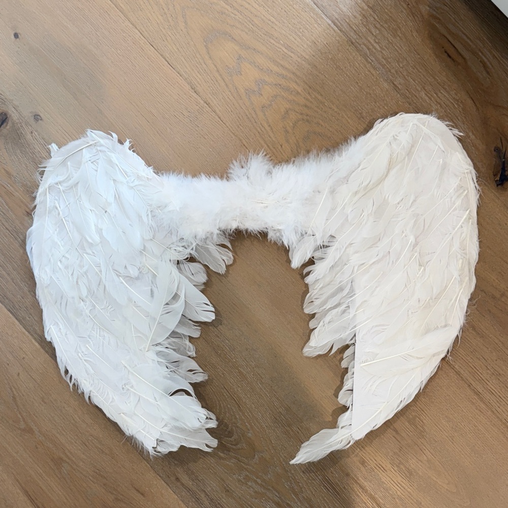 White Feathered Angel Wings